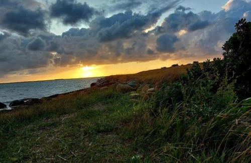 Falen House | 8 person holiday home in Hemmet
