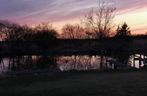 Falen House | 8 person holiday home in Hemmet