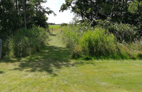 Falen House | 8 person holiday home in Hemmet