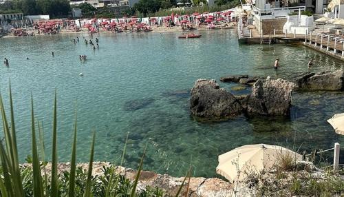 Monopoli Apartment | A casa di Carlotta vista mare
