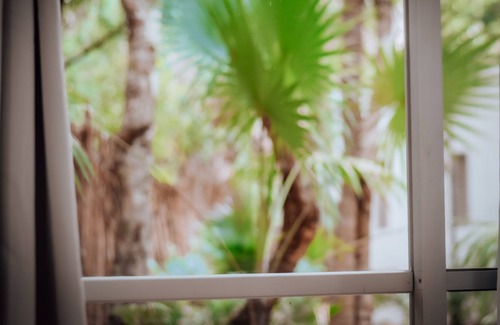 Benito Juarez House | A full of love Jungle Hotel where everything is connected with nature