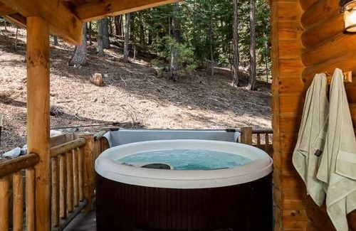 Pioneer Trail House | A True Tahoe Log Home-Surrounded By Forest, hot tub, privacy, great location.