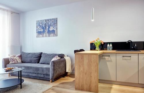Koszalin Apartment | A&W Apartament Franciszkańska