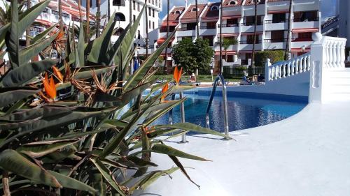 El Madronal Apartment | AA Estudio Las Americas 16