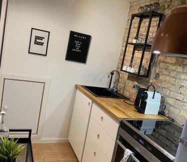 Aalborg Apartment | Aalborgs mest centrale lille hyggelige New Yorker lejlighed