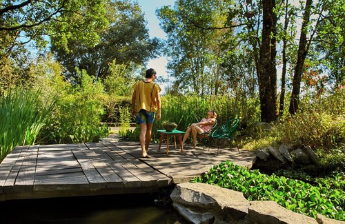 Valle de Bravo Apartment | AAV : La Cajiga - Intimate studio in the forest.