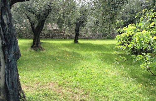 Saint-Jacques Villa | Absolute calm with private pool in an olive grove