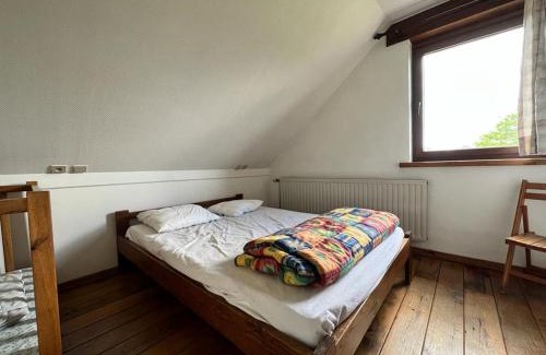 Achouffe House | Achouffe - APRES MIDI