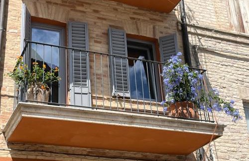 Offida House | Agapanthus
