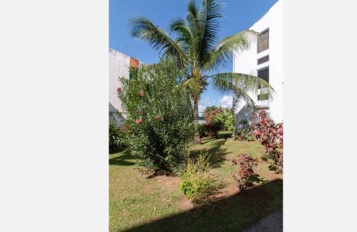 Pointe du Bout Apartment | Agréable cocon à la Marina de la pointe du bout
