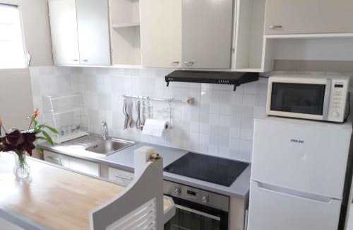 Fort-de-France Apartment | Agréable F2, jardin, garage, fibre, clim ch