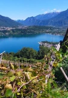 Bosentino Bed & Breakfast | Agritur Maso Flonkeri