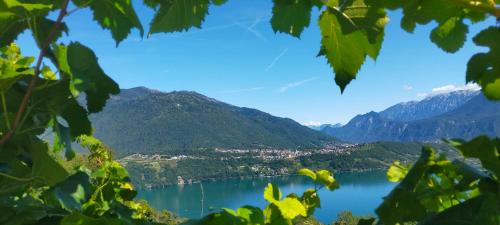 Bosentino Bed & Breakfast | Agritur Maso Flonkeri
