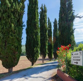 Eggi House | Agriturismo Collelignani
