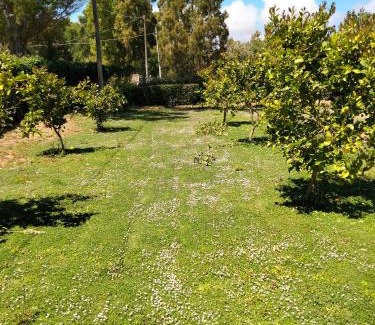 Alghero House | Agriturismo i doni del mandorlo