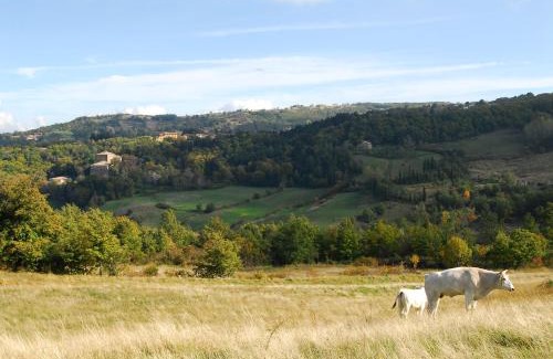 Vivo dʼOrcia Apartment | - Agriturismo La Piaggia - forest view apartment on the ground floor 2 guests