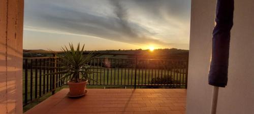 Scansano House | Agriturismo Podere Verdicchio