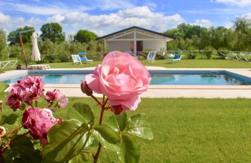 Donoratico House | Agriturismo Re di Fiori