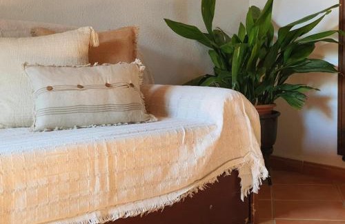 Petra Apartment | Agroturismo Son Torrat Apartment Ses Solls