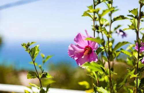 Diasella House | Aigli Summer Getaway - Seaview Lux Retreat