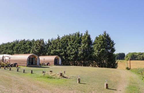 Great Witley House | Ailsa Craig