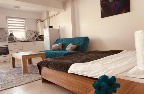 Otopeni Apartment | Airplane Plaza