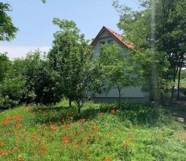 Zamardi House | Akácliget Vendégház