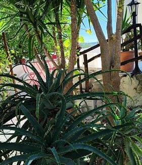 Noto House | Alabianca