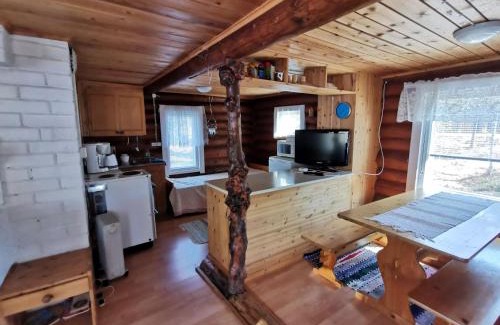 Pudasjarvi Ski Chalet | Alapin mökki