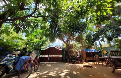 Trincomalee House | Alass Ga For Pets Lovers