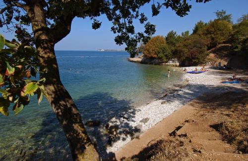 Lanterna Resort | Albatross Mobile Homes on Camping Lanterna