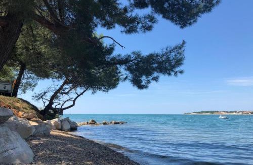 Lanterna Resort | Albatross Mobile Homes on Camping Lanterna