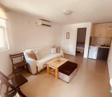 Veliko Gradiste Apartment | AlekS