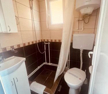 Veliko Gradiste Apartment | AlekS