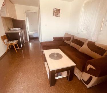 Veliko Gradiste Apartment | AlekS