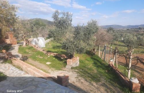 Selcuk Other | Ali dede kamp karavan bungalow