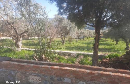 Selcuk Other | Ali dede kamp karavan bungalow