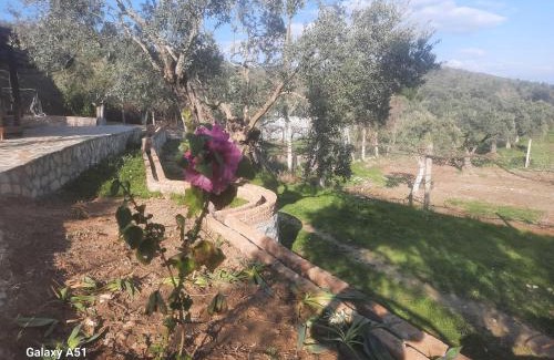 Selcuk Other | Ali dede kamp karavan bungalow
