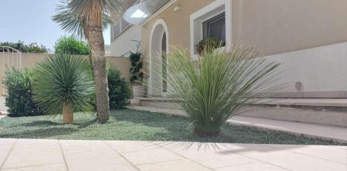 Porto Cesareo Apartment | Alisei casa vacanze
