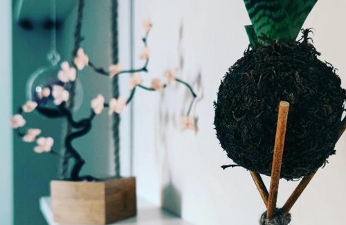 San Giovanni Bed & Breakfast | Almarosa House Affittacamere