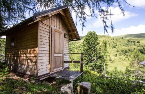 Ramingstein Ski Chalet | Almhaus Völkl