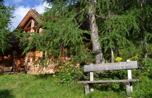 Ramingstein Ski Chalet | Almhaus Völkl