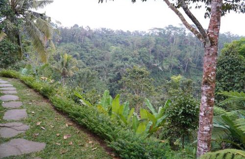 Sebatu Bed & Breakfast | Alokavati Homestay