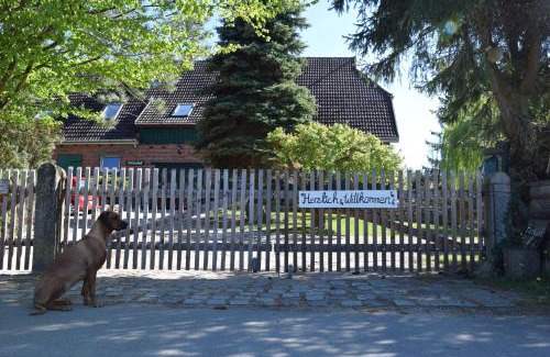 Charlottenthal Apartment | Alpakatherapie und Ferienhof Charlottenthal