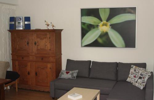 Muehlbach Am Hochkoenig Apartment | Alpendomizil Pia