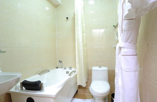 Downtown Ulaanbaatar Hotel | Alpha hotel Mongolia