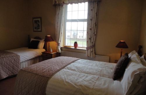 Dingle House | Alpine Guesthouse