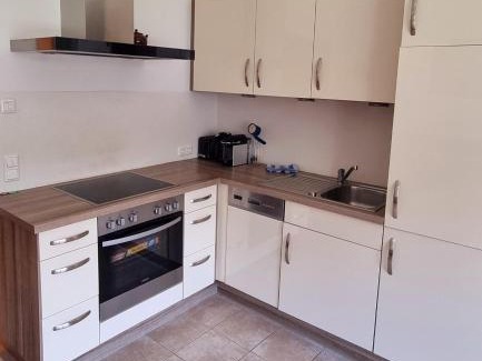 Hollersbach im Pinzgau Apartment | Alpine Kitz