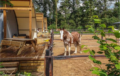 Hoogersmilde Other | Amazing StaCaravan In Hoogersmilde