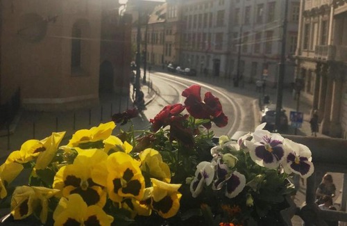 City Centre Apartment | AMBER Guest Rooms
